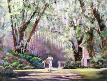 Sunlit peaceful park with a person walking under moss-draped trees.